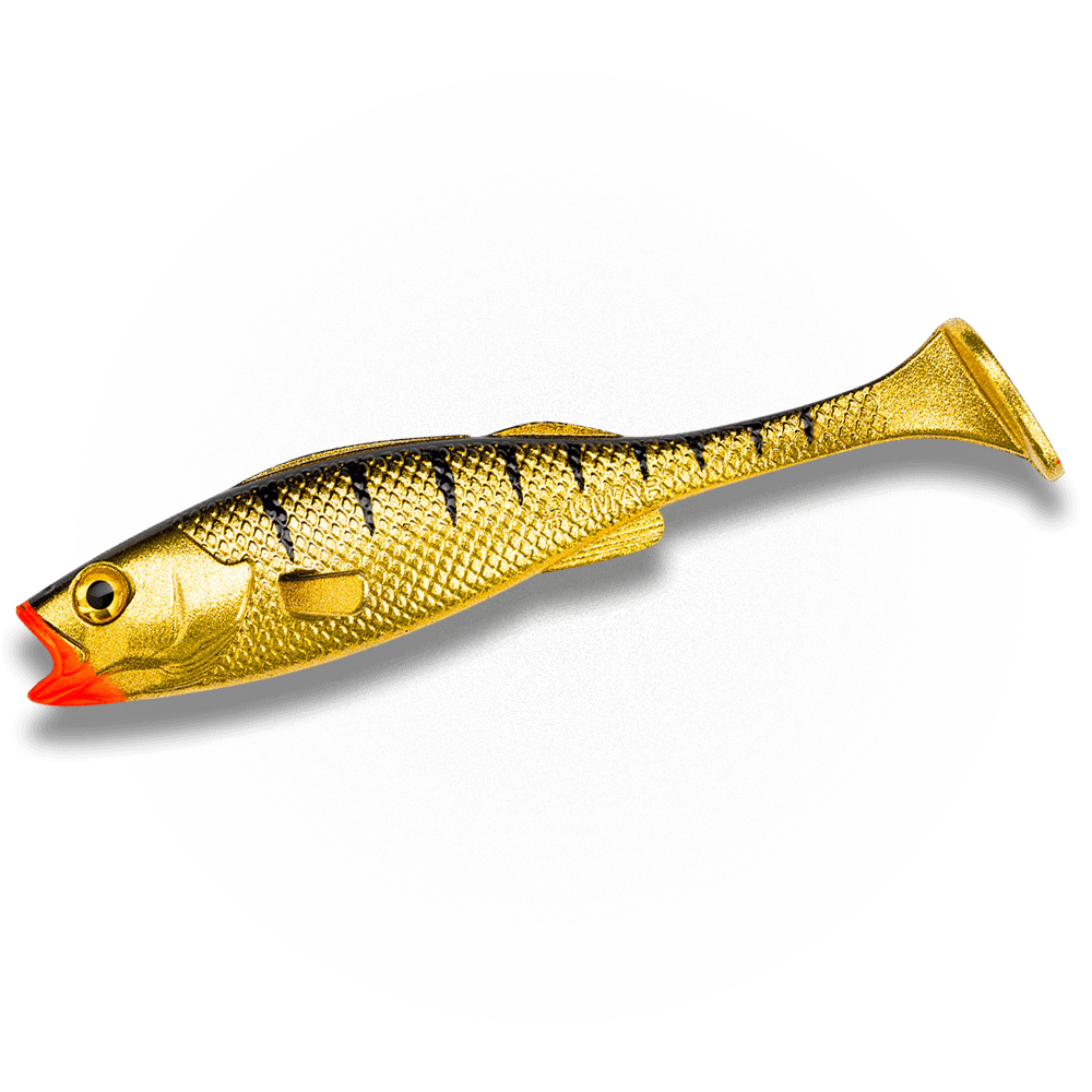 KØFI Perch Shad  Gold Tiger