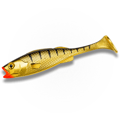 KØFI Perch Shad  Gold Tiger