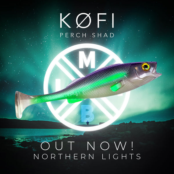 Perch Shad in Northern Lights