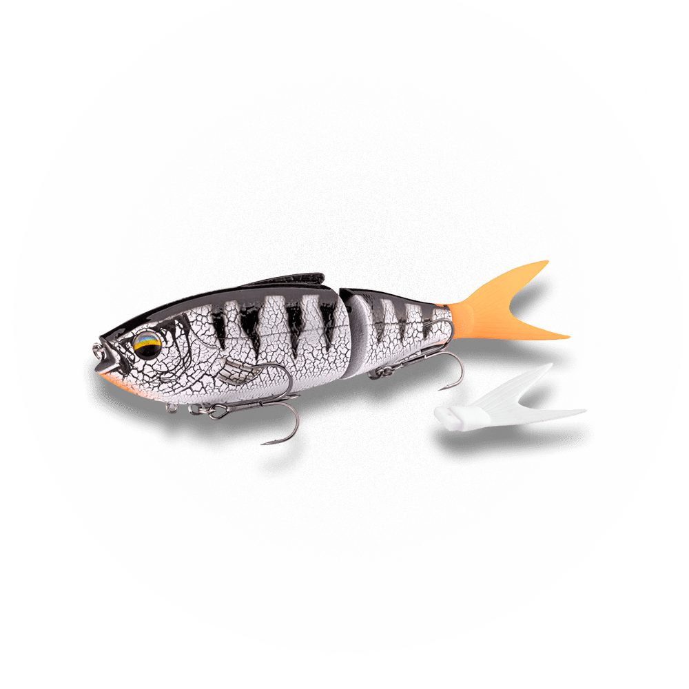 KØFI Real Vibe 180 White Tiger