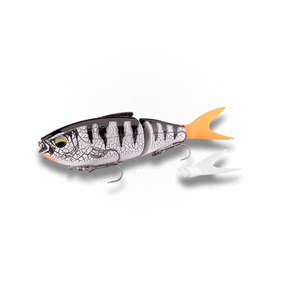 KØFI Real Vibe 180 White Tiger